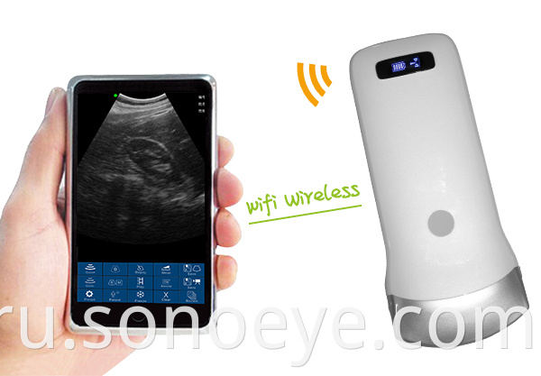 Mini Convex Ultrasound probe